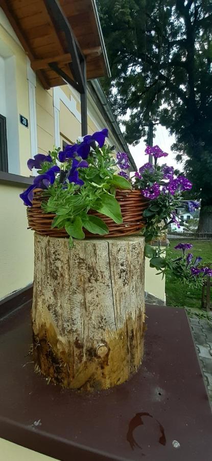 Penzion U Draci Skaly Hotel Svojse Ngoại thất bức ảnh